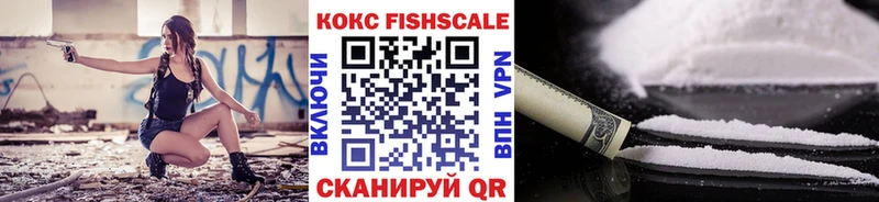 Купить где  Озёры  КОКАИН FishScale 