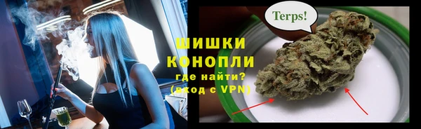 ГАЛЛЮЦИНОГЕННЫЕ ГРИБЫ Козельск
